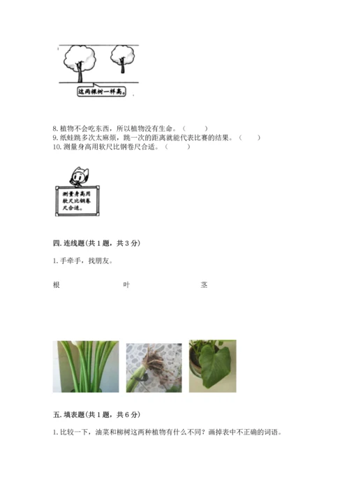 教科版科学一年级上册期末测试卷精品（综合题）.docx