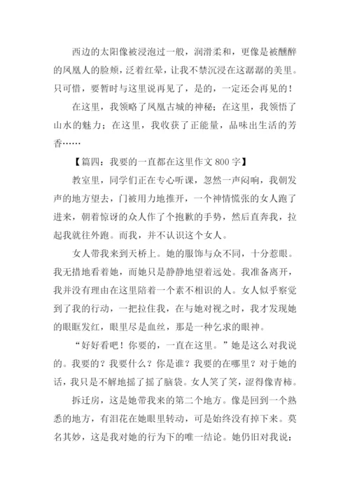 在这里作文800字.docx