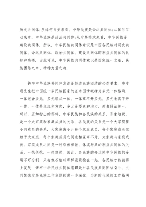 筑牢中华民族共同体意识发言稿.docx