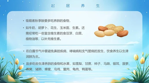 美丽的梦幻传统节气白露PPT模板