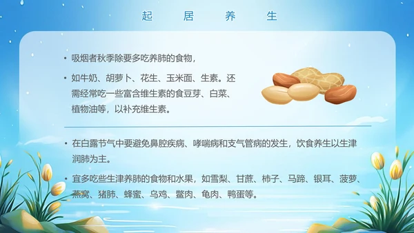 美丽的梦幻传统节气白露PPT模板