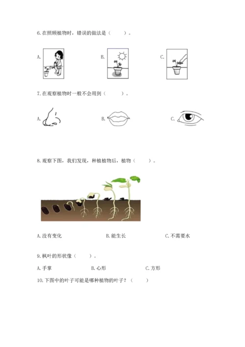 教科版小学一年级上册科学期末测试卷（能力提升）word版.docx