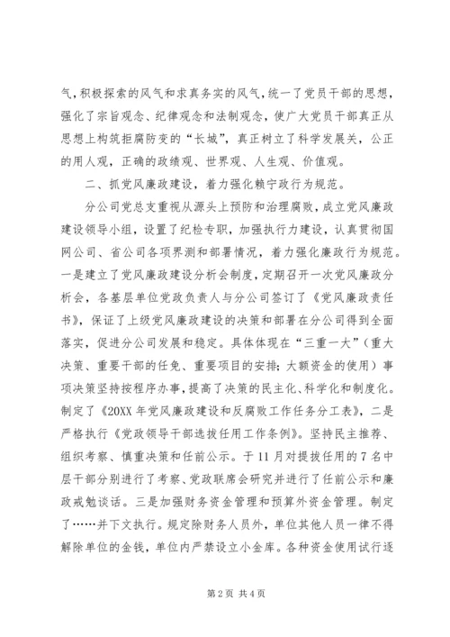 电力公司党风廉政建设自查报告 (6).docx