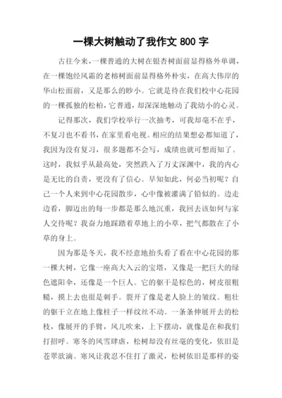 一棵大树触动了我作文800字.docx