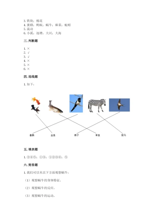 教科版一年级下册科学期末测试卷及参考答案（模拟题）.docx