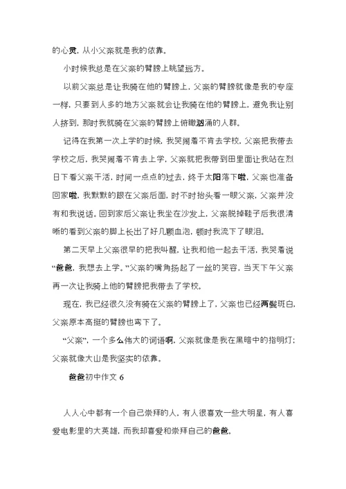 爸爸初中作文 (3)