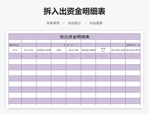 拆入出资金明细表