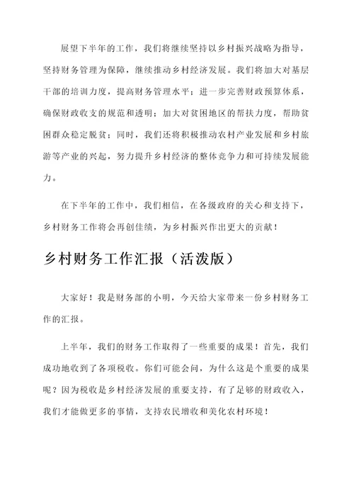乡村财务工作汇报