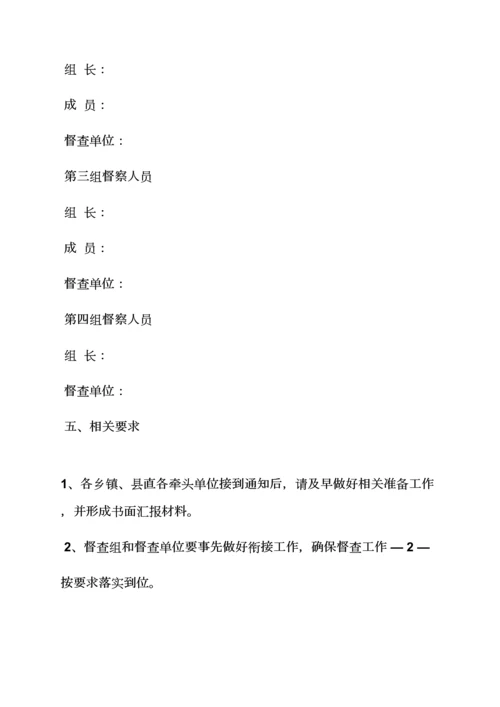 活动专项方案之督查检查工作专项方案.docx