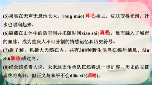 16《散文二篇》课件