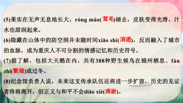 16《散文二篇》课件