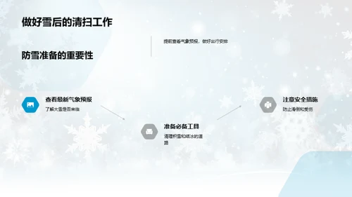 应对大雪的全面策略