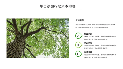 绿色环保森林湿地环境保护生态森林业PPT模板