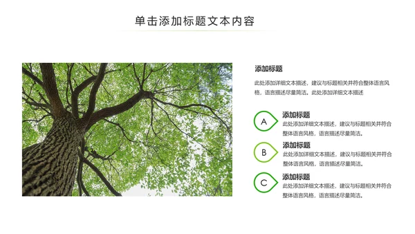 绿色环保森林湿地环境保护生态森林业PPT模板