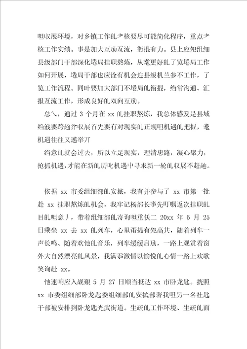 挂职工作总结2020与人大代表个人优秀事迹2020