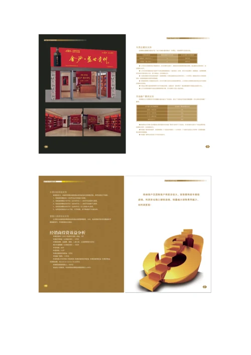 金沙·盛世贵州招商手册.docx