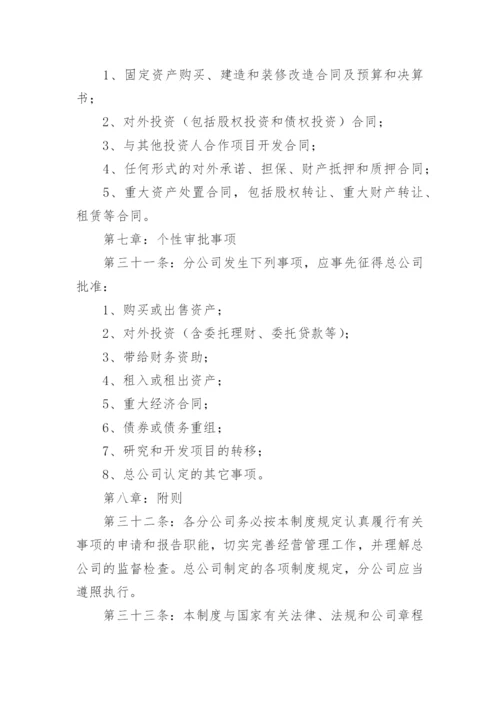 分公司管理制度_3.docx