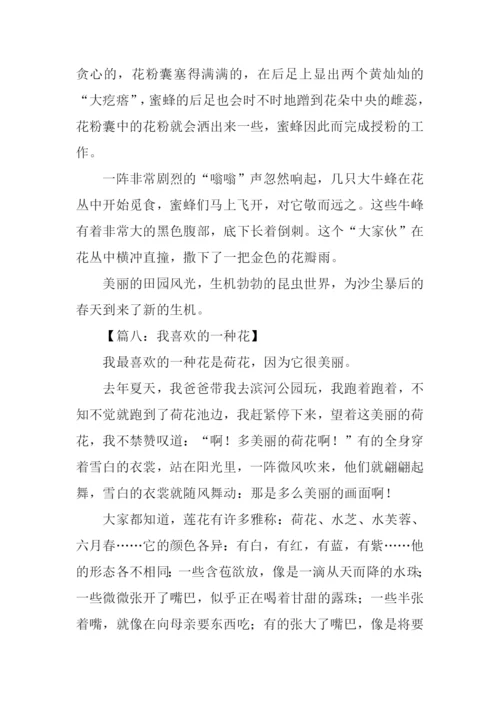 我喜欢的一种花作文400字-1.docx