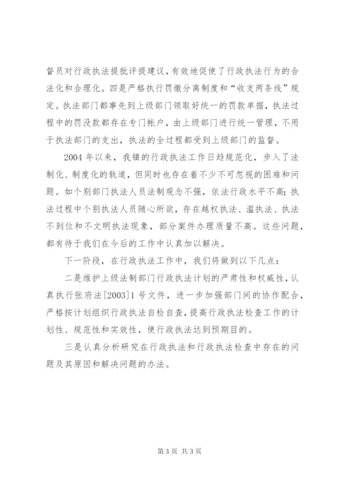 行政执法自查情况汇报.docx