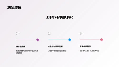 年中总结报告