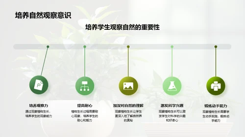 植物成长之路