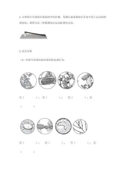 教科版科学三年级下册期末测试卷（考点精练）.docx