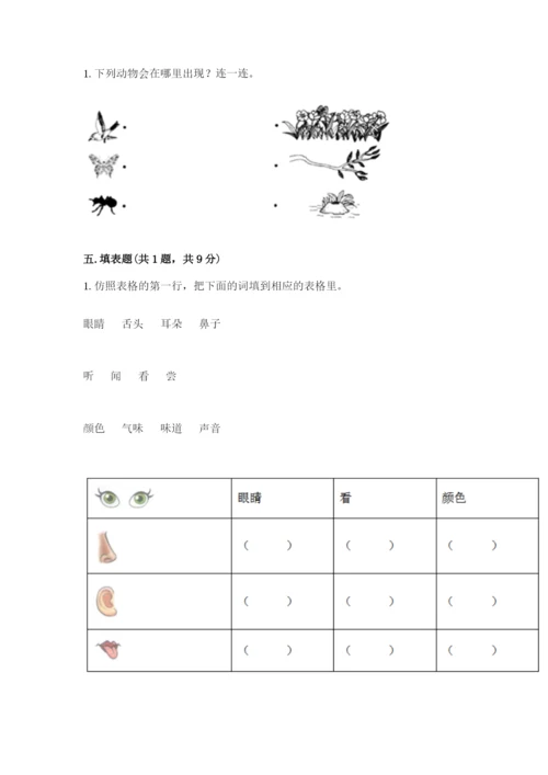 教科版小学科学一年级下册期末测试卷（网校专用）.docx