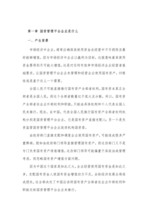 国资投资运营公司运营模式专项研究报告.docx