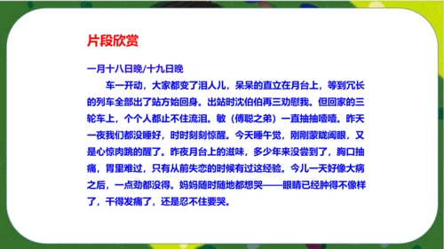 八年级下册语文第三单元名著导读《傅雷家书》：选择性阅读 课件（共52张PPT）
