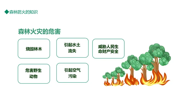 平安清明森林防火知识班会通用PPT模板