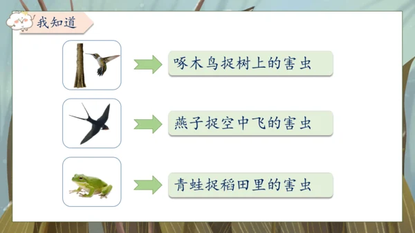 【核心素养】部编版语文一年级下册-18. 棉花姑娘 第1课时（课件）