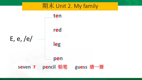 期中复习