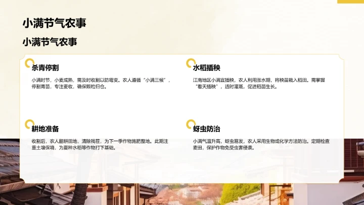 二十四节气小满PPT模板