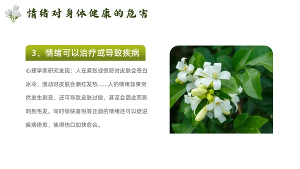 简约风情绪与健康培训PPT模板