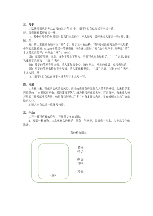 第3课《荷花》（第二课时）
