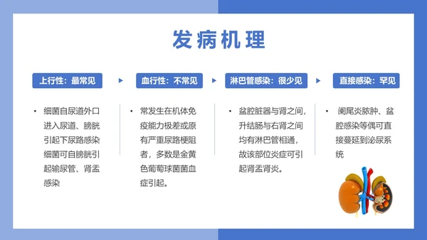 医疗风医疗泌尿系感染PPT模板