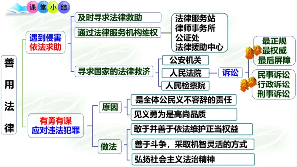 5.3善用法律 课件(共21张PPT)