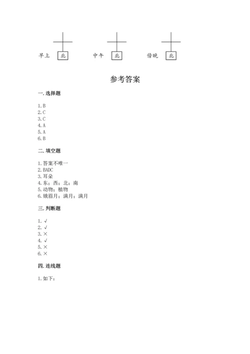 教科版科学二年级上册《期末测试卷》加答案下载.docx