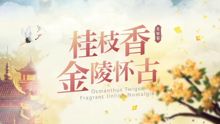 桂枝香金陵怀古诗歌鉴赏解析PPT模板