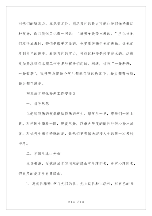 2022初三语文培优补差工作计划.docx