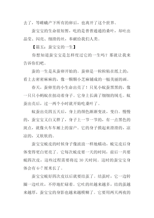 蚕宝宝的一生作文.docx