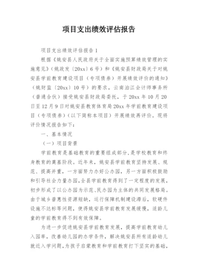 项目支出绩效评估报告.docx