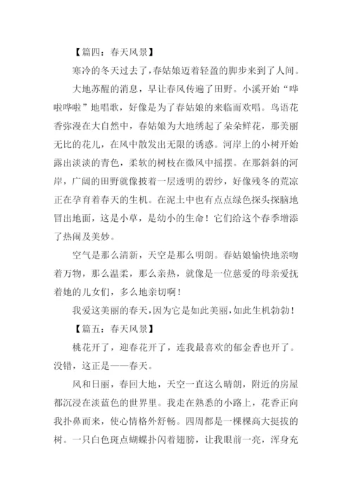 关于春天风景的作文.docx