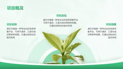 绿色商务风农业商业计划书PPT模板