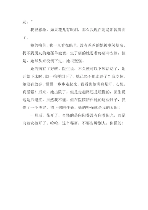 向日葵的守护作文800字.docx