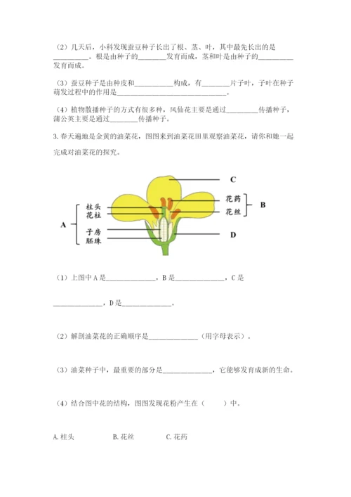 教科版科学四年级下册第一单元《植物的生长变化》测试卷【满分必刷】.docx