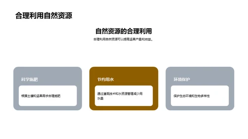 智慧农业：坚果种植新纪元