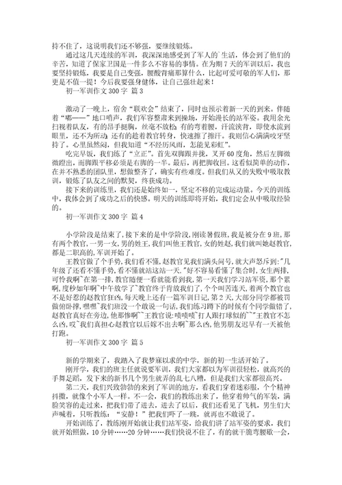 关于初一暑假作文300字汇总三篇