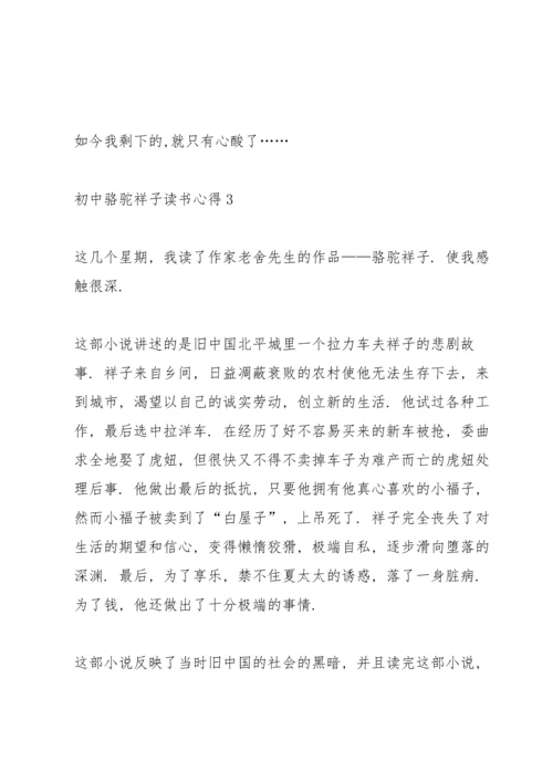 初中生骆驼祥子读书心得4篇.docx