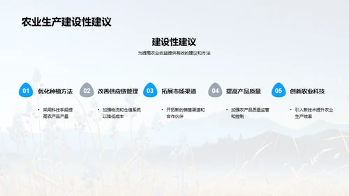 农业收益全面分析